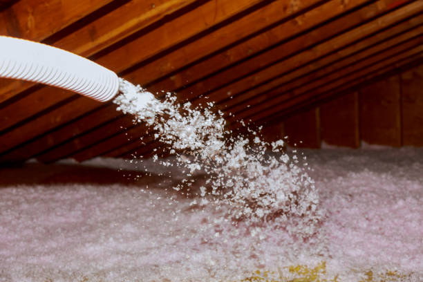 Best Spray Foam Insulation  in Loyola, CA